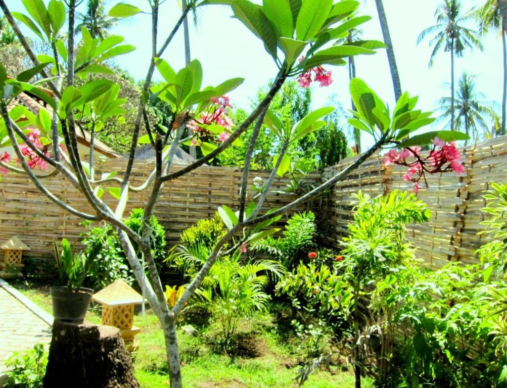 Oceans 5 Dive Resort Gili Air Exterior photo